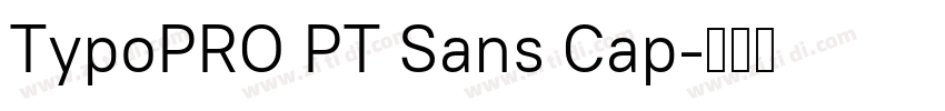 TypoPRO PT Sans Cap字体转换